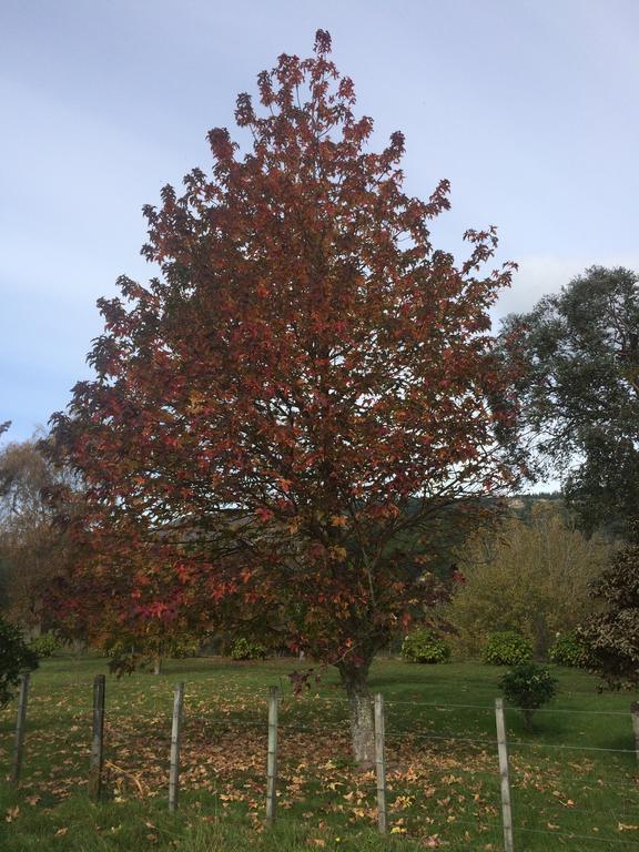 Tuai Ohuka Lodge מראה חיצוני תמונה