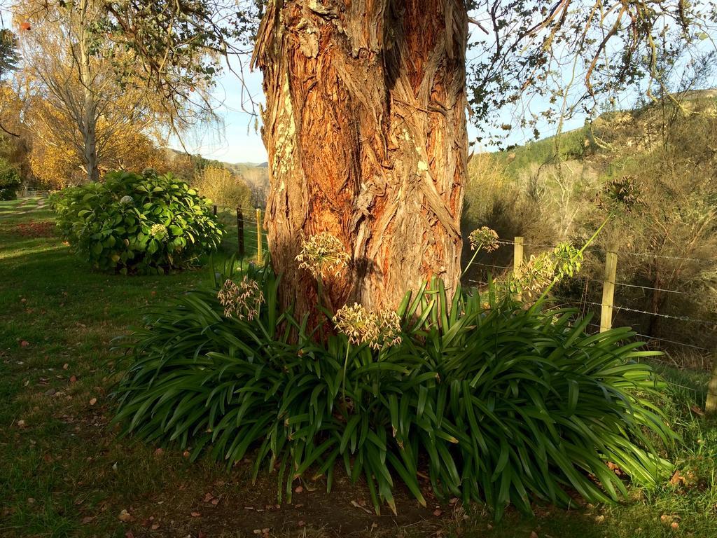 Tuai Ohuka Lodge מראה חיצוני תמונה