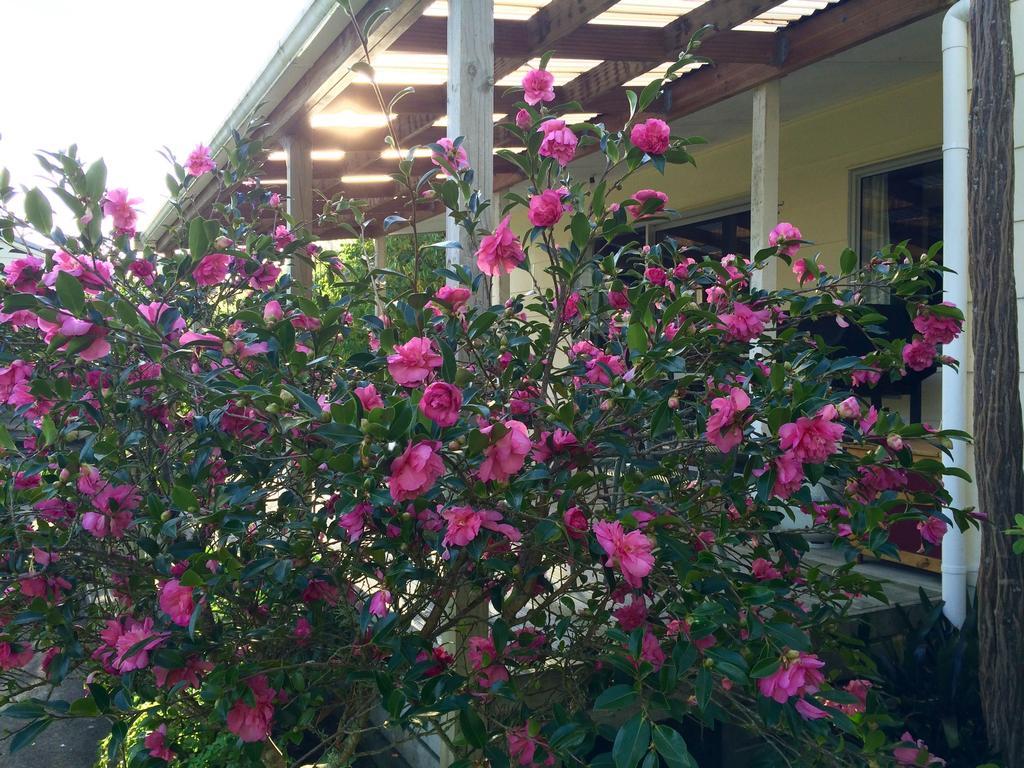 Tuai Ohuka Lodge מראה חיצוני תמונה