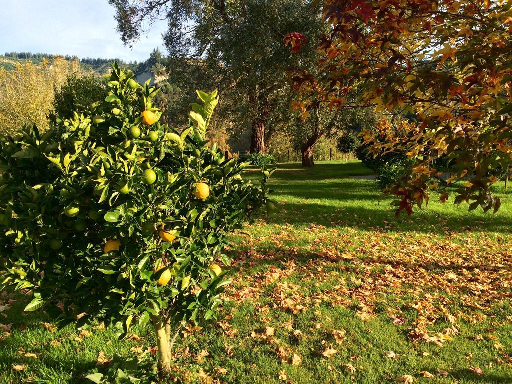 Tuai Ohuka Lodge מראה חיצוני תמונה