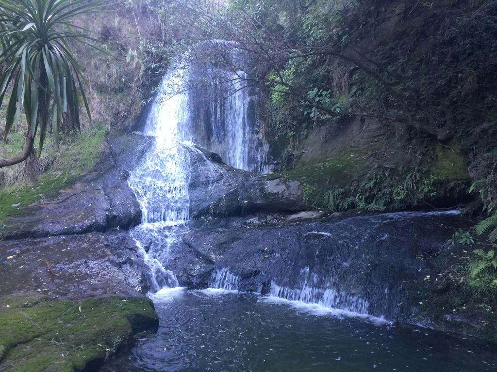Tuai Ohuka Lodge מראה חיצוני תמונה