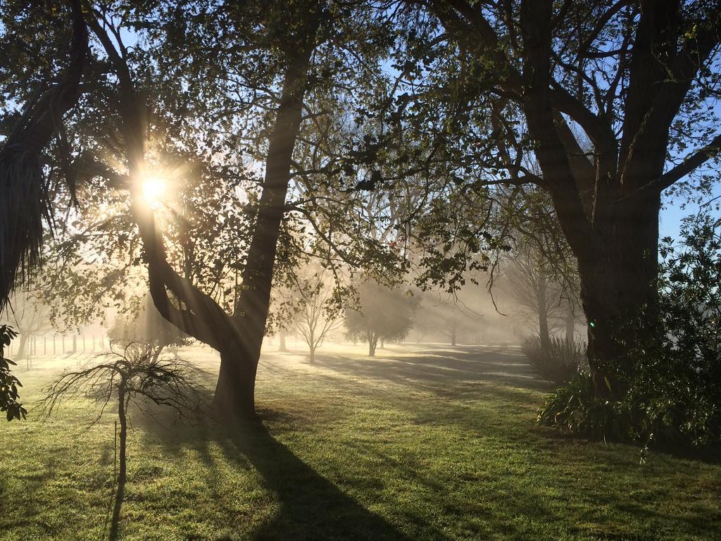 Tuai Ohuka Lodge מראה חיצוני תמונה