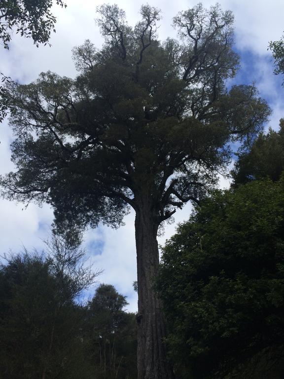 Tuai Ohuka Lodge מראה חיצוני תמונה
